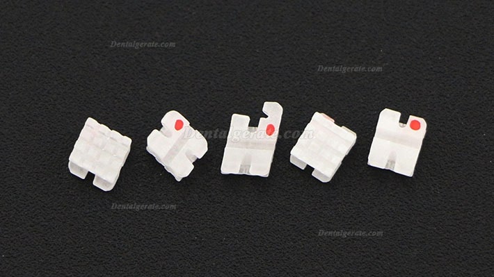 5 Packungen/20 St&uuml;cke Dental Kieferorthop&auml;dische Keramik Bracket St&auml;nder ROTH 022 3 Haken